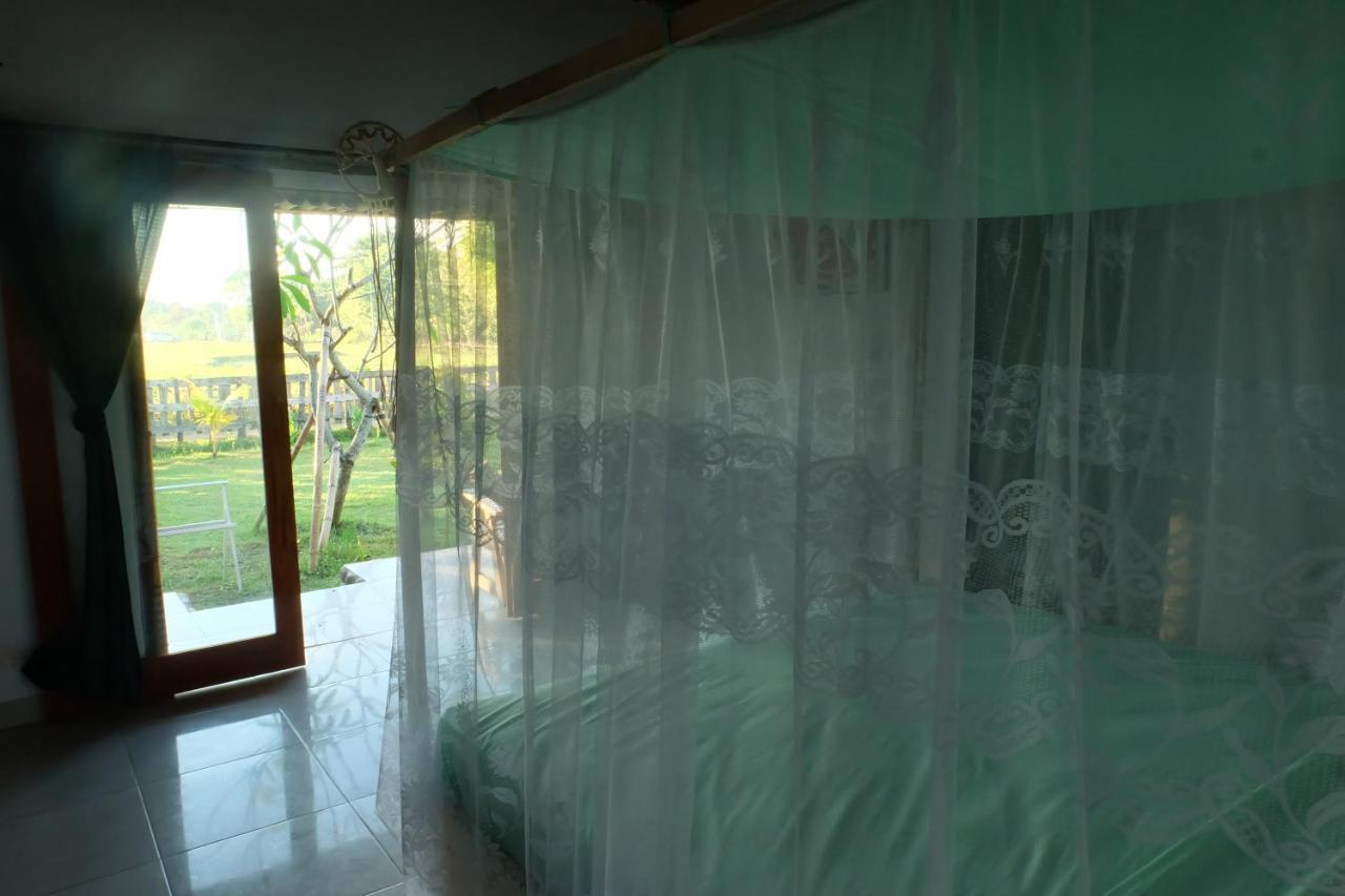 The Nyamo Surf & Stay Pulukan Exterior foto